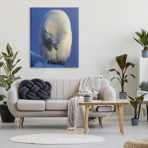Stupell Industries Polar Bear Photography Canvas Wall Art by © Shane Lamb in Saudi Arabia