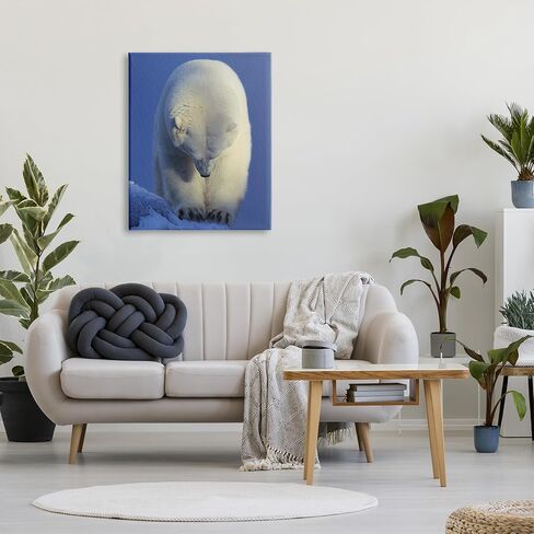 Stupell Industries Polar Bear Photography Canvas Wall Art by © Shane Lamb in Saudi Arabia