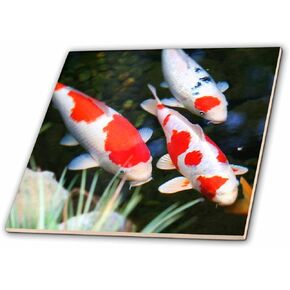 3dRose Japanese Orange N White Koi Fish - Glass Tile, 6-Inch (ct_62378_6)
