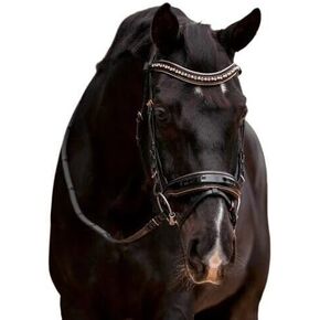 Rose Gold Black Patent Snaffle Bridle Clermont Ergonomic Padded Bridle Dressage Bridles Bridles Rose Gold Piping Rose Gold Buckles Hardware Anatomical