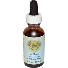 FLOWER ESSENCE SERVICES Dropper Herbal Supplements, Queen Annes Lace, 1 Ounce in Saudi Arabia