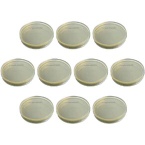 TEHAUX 10pcs Agar Plates, Agar Petri Dishes Disposable Agar Medium Agar Plates Lab Agar Plates for Mushroom Cultivation (Vacuum Packaging)
