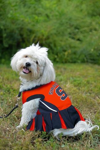 Pets First NCAA Syracuse Orange Dog Cheerleader Outfit, X-Small in Saudi Arabia