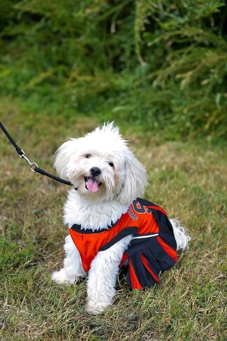 Pets First NCAA Syracuse Orange Dog Cheerleader Outfit, X-Small in Saudi Arabia