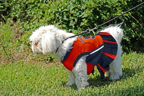 Pets First NCAA Syracuse Orange Dog Cheerleader Outfit, X-Small in Saudi Arabia