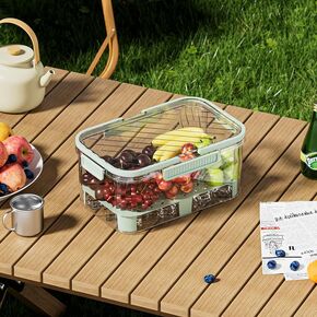 Chilled Fruit Storage Container With Lid and Handle Portable Food Fruit Storage Box Refrigerator Organizer With Ice Pack for Camping Picnics Outdoor (Green)
