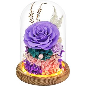 HVY Preserved Real Flowers in Glass Dome,Preserved Rose with LED Lights Long-Lasting Flowers Present for Women Idea for Mothers Day,Valentines Day,Christmas,Birthday,Anniversary(Pink Rose)