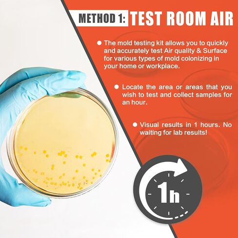 Mold Test Kit for Home Air Quality - Test 5 Locations, DIY Home Mold Detector Kit, Home Air & Surface, HVAC Indoor Quick Mold Testing Kit for Home, Identification Guide Included in Saudi Arabia