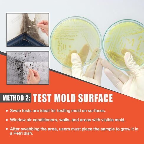 Mold Test Kit for Home Air Quality - Test 5 Locations, DIY Home Mold Detector Kit, Home Air & Surface, HVAC Indoor Quick Mold Testing Kit for Home, Identification Guide Included in Saudi Arabia
