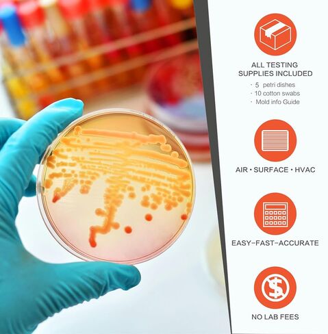 Mold Test Kit for Home Air Quality - Test 5 Locations, DIY Home Mold Detector Kit, Home Air & Surface, HVAC Indoor Quick Mold Testing Kit for Home, Identification Guide Included in Saudi Arabia