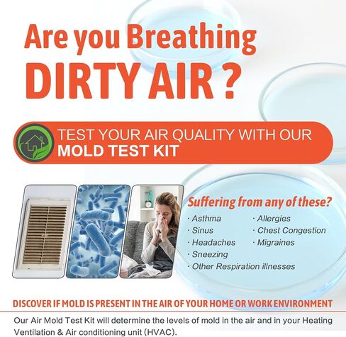 Mold Test Kit for Home Air Quality - Test 5 Locations, DIY Home Mold Detector Kit, Home Air & Surface, HVAC Indoor Quick Mold Testing Kit for Home, Identification Guide Included in Saudi Arabia