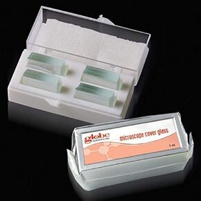 Globe Scientific 1402-10 Cover Glass, 20 x 20mm, #1 Thickness (Case of 10)