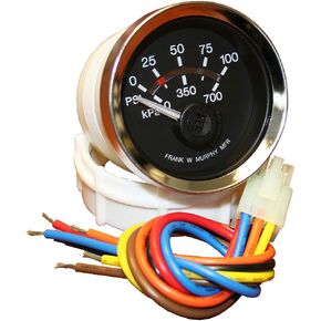 Murphy by Enovation Controls EGS21P-100-12 Electric Pressure Swichgage® (05702405)