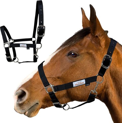 Prairie Horse Supply Nylon Horse Halter, 1 inch Wide, Heavy Duty, Adjustable in Saudi Arabia