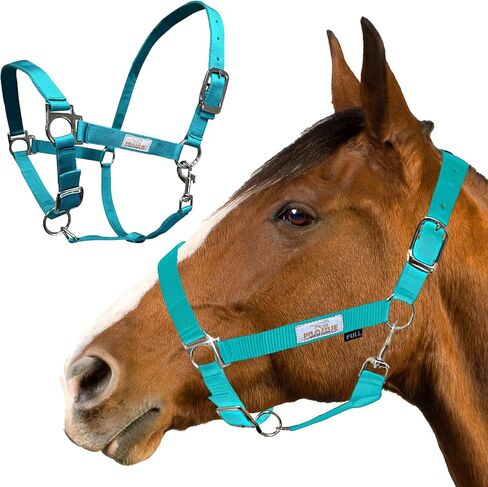 Prairie Horse Supply Nylon Horse Halter, 1 inch Wide, Heavy Duty, Adjustable in Saudi Arabia