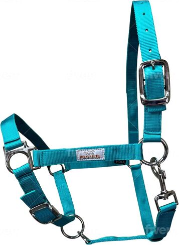 Prairie Horse Supply Nylon Horse Halter, 1 inch Wide, Heavy Duty, Adjustable in Saudi Arabia