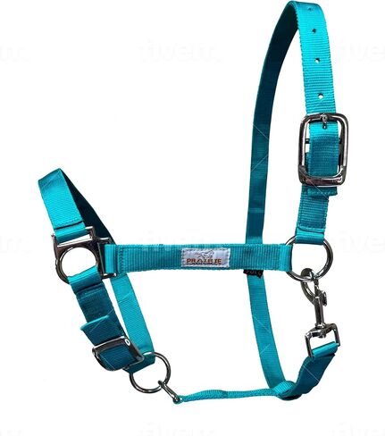 Prairie Horse Supply Nylon Horse Halter, 1 inch Wide, Heavy Duty, Adjustable in Saudi Arabia