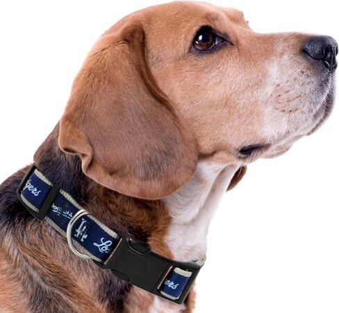 طوق MLB PET للكلاب من لوس أنجلوس دودجرز، صغير. طوق فريق البيسبول للكلاب والقطط. طوق للكلاب والقطط لامع وملون مرخص من MLB in Saudi Arabia