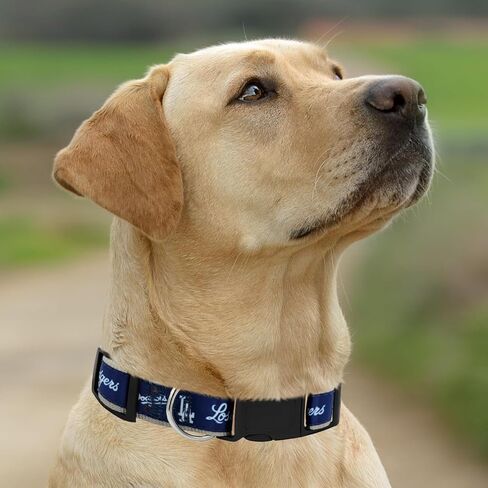 طوق MLB PET للكلاب من لوس أنجلوس دودجرز، صغير. طوق فريق البيسبول للكلاب والقطط. طوق للكلاب والقطط لامع وملون مرخص من MLB in Saudi Arabia