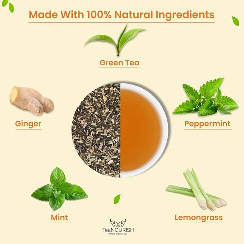 TeaNOURISH Ginger Mint Green Tea | Relaxing & Calming | Premium Darjeeling Loose Leaf | Immune Support Tea for Daily Wellness | 50 Cups Hot Tea or Iced Tea - 3.53oz/100g in Saudi Arabia