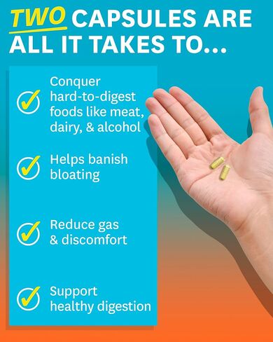 Zenwise Health No Bloat - البروبيوتيك، والإنزيمات الهاضمة للانتفاخ وتخفيف الغازات - الزنجبيل والهندباء واللاكتاز لتحسين الهضم - حبوب نباتية للاحتفاظ بالمياه (48 قطعة) in Kuwait