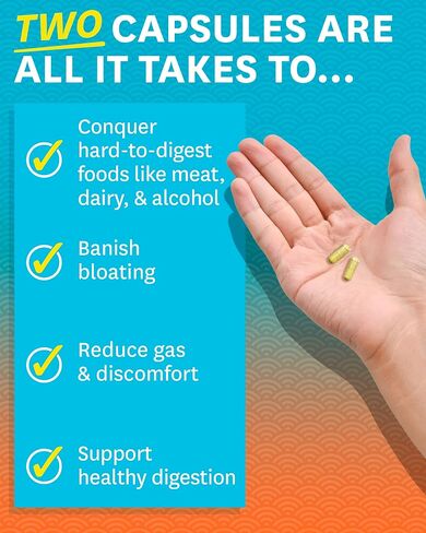 Zenwise Health No Bloat - البروبيوتيك، والإنزيمات الهاضمة للانتفاخ وتخفيف الغازات - الزنجبيل والهندباء واللاكتاز لتحسين الهضم - حبوب نباتية للاحتفاظ بالمياه (48 قطعة) in Kuwait