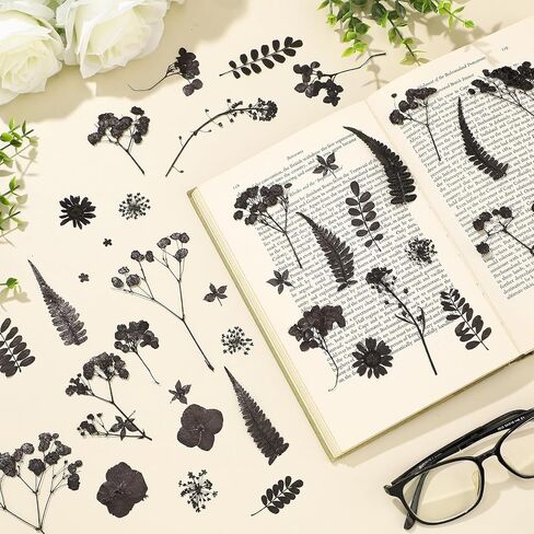 Fabbay 200 Pcs Dried Pressed Flowers Real Dry Natural Flower Leaf Dried Flowers for Resin Pressed Flower Kit for Plant Herbarium Scrapbooking DIY Candle Crafts (Black) in Saudi Arabia