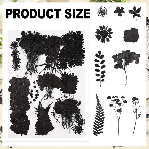 Fabbay 200 Pcs Dried Pressed Flowers Real Dry Natural Flower Leaf Dried Flowers for Resin Pressed Flower Kit for Plant Herbarium Scrapbooking DIY Candle Crafts (Black) in Saudi Arabia