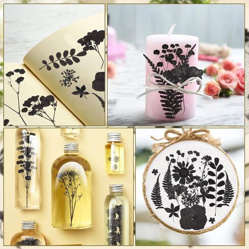 Fabbay 200 Pcs Dried Pressed Flowers Real Dry Natural Flower Leaf Dried Flowers for Resin Pressed Flower Kit for Plant Herbarium Scrapbooking DIY Candle Crafts (Black) in Saudi Arabia