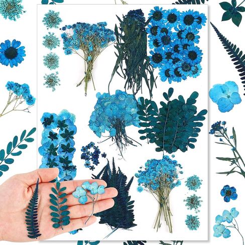 Fabbay 200 Pcs Dried Pressed Flowers Real Dry Natural Flower Leaf Dried Flowers for Resin Pressed Flower Kit for Plant Herbarium Scrapbooking DIY Candle Crafts (Black) in Saudi Arabia