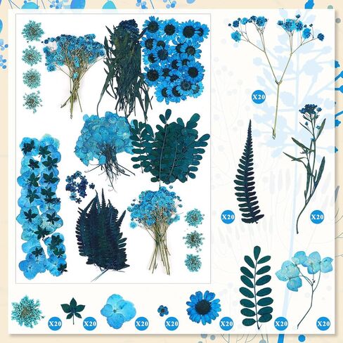 Fabbay 200 Pcs Dried Pressed Flowers Real Dry Natural Flower Leaf Dried Flowers for Resin Pressed Flower Kit for Plant Herbarium Scrapbooking DIY Candle Crafts (Black) in Saudi Arabia