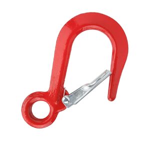 5000Lbs Alloy Steel Crane Hoist Rigging Hook with for Ship Construction