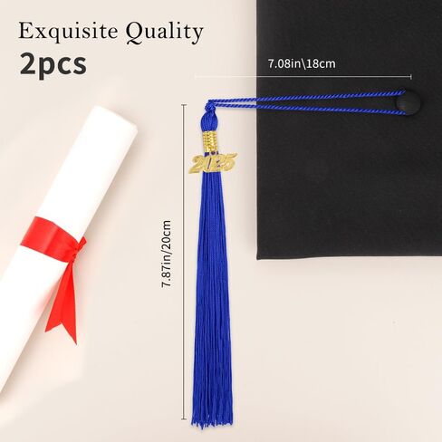 Purple 2025 Tassel Graduation Tassels 2 PCS Purple and Gold Tassel Graduation Purple Graduation Tassel for Graduation Cap 2025 Tassel Charms for Graduation Cap 2025 Graduation Tassel Charm Preschool in Saudi Arabia