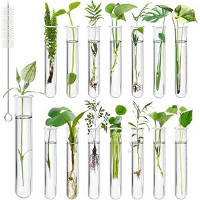 15 Pcs Clear Test Tubes for Plant, 20 ml Plant Propagation Tube with Brush, Plastic Test Tubes for Hydroponic Plants, Flowers, Home Office Wall Decor (12 cm)