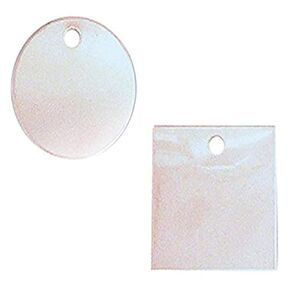 Accuform TDB759 Stainless Steel Blank Identification Tag, Square, 20 Gauge, 2" L x 2" W (Pack of 25)