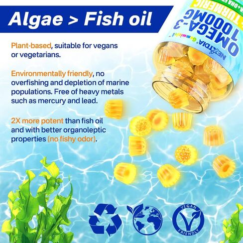 Vegan Omega-3 1000mg + Turmeric Gummies - Fish Oil Alternative for Adults - Algae Oil DHA 600mg & EPA 300mg, Vitamin A, C, E, Zinc & MSM - Mobility Comfort, Skin, Immune, Brain, Eye Health, 60 Cts in Saudi Arabia
