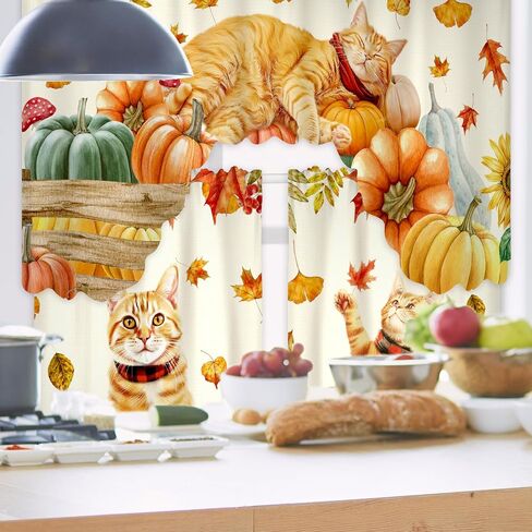 Frienda Fall Cat Valances الخريف عيد الشكر هريرة نافذة الستارة الخريف ستائر المطبخ والستائر مجموعة أوراق اليقطين مزرعة الستارة لغرفة النوم وغرفة المعيشة، 60 × 36 الستارة، 36 × 30 الطبقة in Saudi Arabia