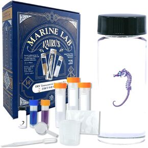 Diaphonized Specimen,Educational Transparent Specimen,Ocean Animal, DIY Transparent Specimen Kit, Seahorse, DIY Diaphonized Specimen Kit