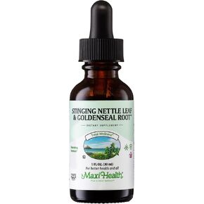 Stinging Nettle Leaf and Goldenseal Root Blend - Alcohol Free Stinging Nettle Tincture with Organic Nettle Leaf (Urtica Dioica) - Urinary Health, Kidney Support - Nettle Extract Liquid Drops, 1 fl oz
