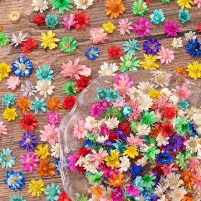 OIIKI 280PCS Small Dried Flowers for Resin Molds, Mini Natural Dried Flowers for Crafts, Colorful Pressed Dried Flowers for Jewelry Making, DIY Art Crafts, Candle Soap Making