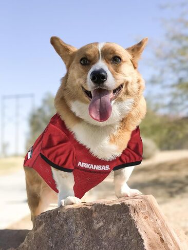 Pets First NCAA College Arkansas Razorbacks Mesh Jersey for DOGS & CATS, Size XX-Large, Licensed Dog Jersey with your Favorite Football/Basketball College Team in Saudi Arabia