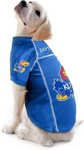 Littlearth NCAA Unisex-Adult NCAA Basic Pet Jersey in Saudi Arabia