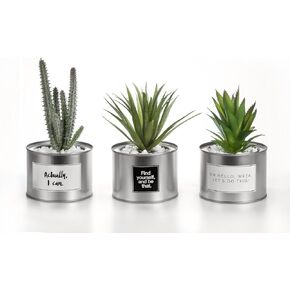 Opps Mini Artificial Plants Plastic Green Grass Cactus with Special Silver Can Pot Design for Home Décor – Set of 3