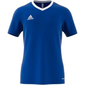 adidas Men's Entrada 22 Jersey, Team Royal Blue, Large/Tall + 3"
