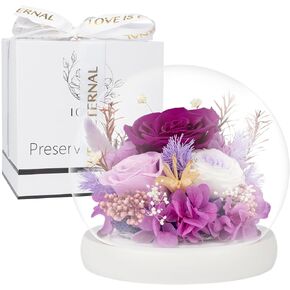 Preserved Flowers - Fresh Flowers Gifts for Women - Birthday Flowers for Delivery Prime Today -Eternal Rose Gifts for her -Real Flowers for Women, Christmas & Mother's Day(Purple)