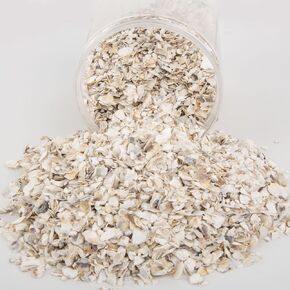 QEQEKAKA Crushed Oyster Shells About 2LB (880g/31OZ) Contains Calcium Small Natural Crushed Shells Bulk