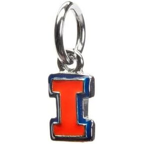 Stone Armory Illinois Charm for Bracelets