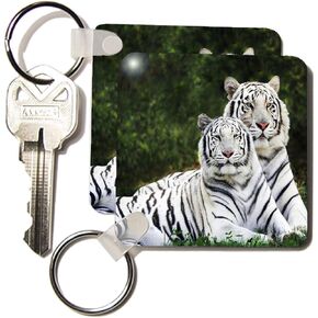 3dRose White Tigers - Key Chains, 2.25 x 4.5 inches, set of 2 (kc_54187_1)