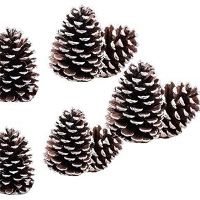 20PCS 1" to 2.95" Christmas Natural Pine Cones Bulk Rustic Snow Pinecones with String Pine Cone Pendant Winter Ornament for Xmas Tree Gift Tag Party Decoration