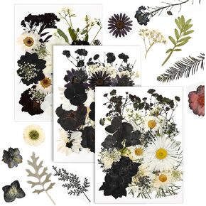 90Pcs Black White Dried Pressed Flowers 3 Pack Real Natural Dry Floral for Resin Molds DIY Art Crafts Epoxy Jewelry Candle Soap Making Nails Decors Phone Case, Gifts